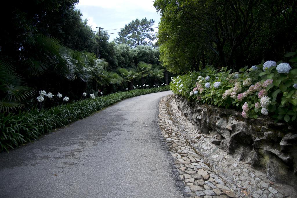 Quinta De Valverde Viana do Castelo Extérieur photo